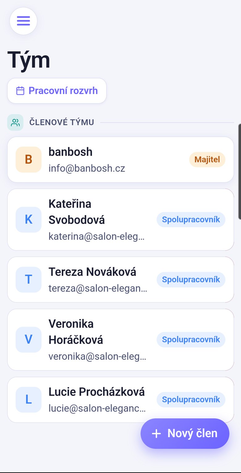 Správa týmu